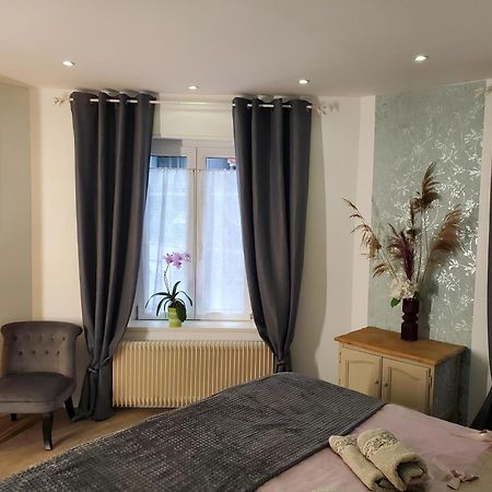 קולמר Mirka & Franck Apartment Chic 4 Stars Parking Free מראה חיצוני תמונה