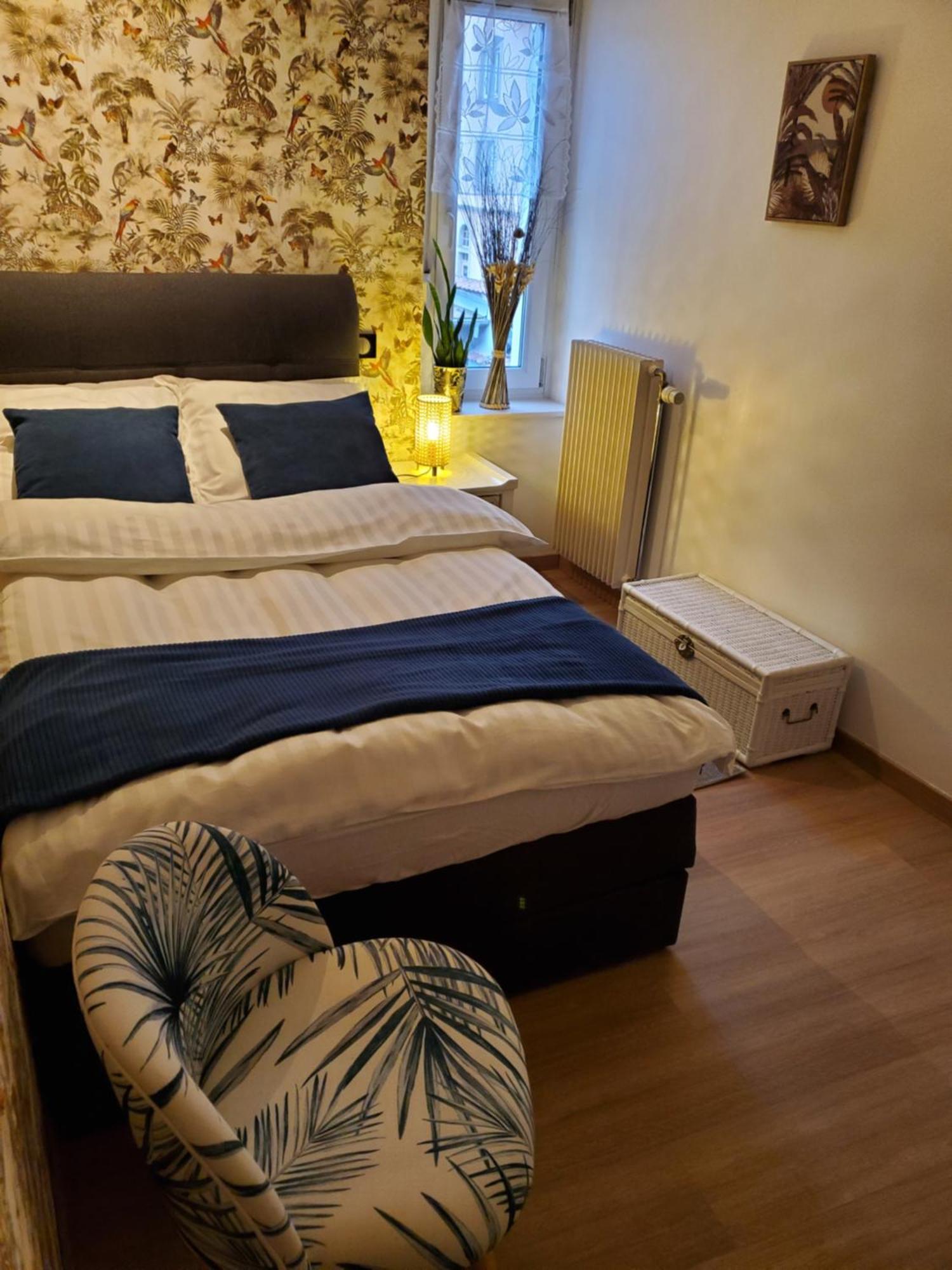 קולמר Mirka & Franck Apartment Chic 4 Stars Parking Free מראה חיצוני תמונה